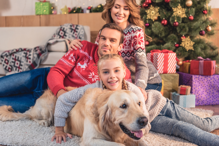 Assicurazioni famiglia